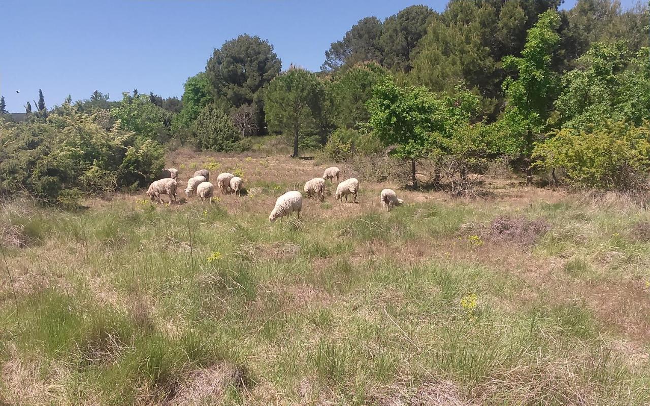 Une Chambre En Luberon Puyvert Екстер'єр фото